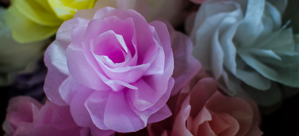 Tissue Flowers